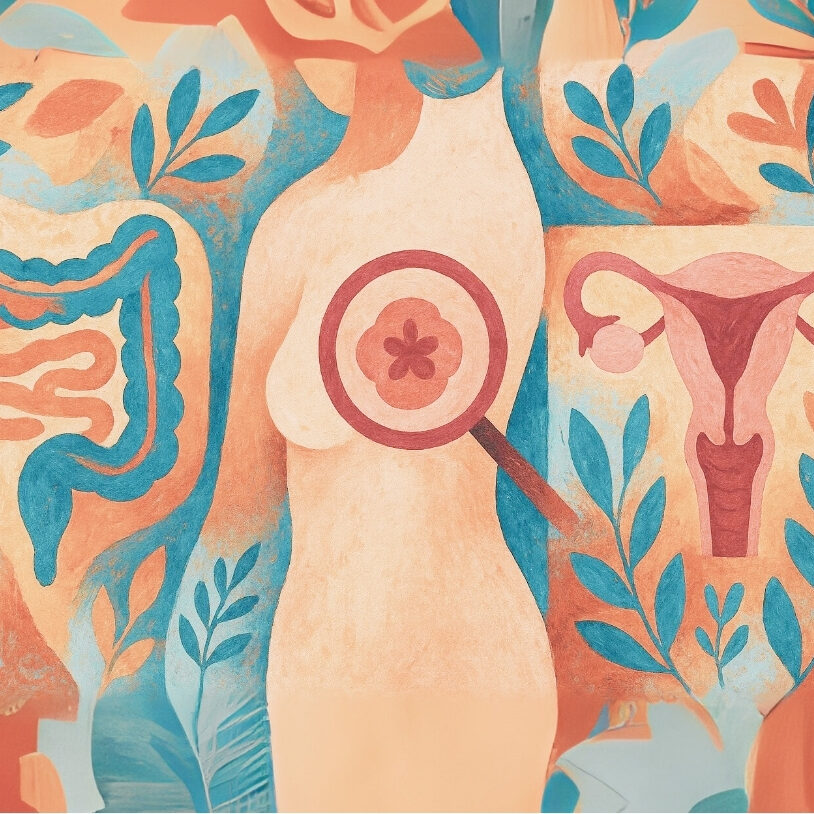 img28novviter img28novviter