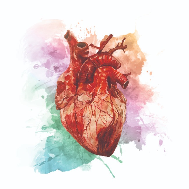 FC_Heart_50x50_01_1582060234